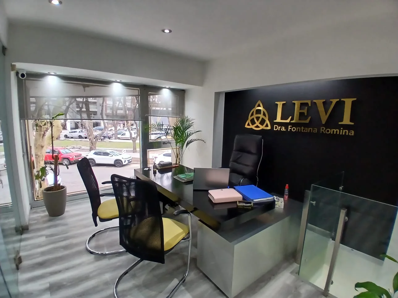 Despacho del Estudio Jurídico LEVI